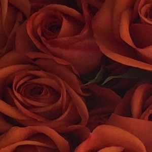 Moving/school sale! Everything must go! Make me an offer:)